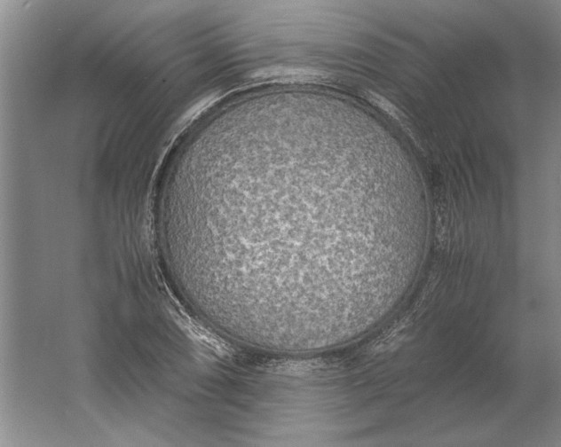 X0000061721074200512161549