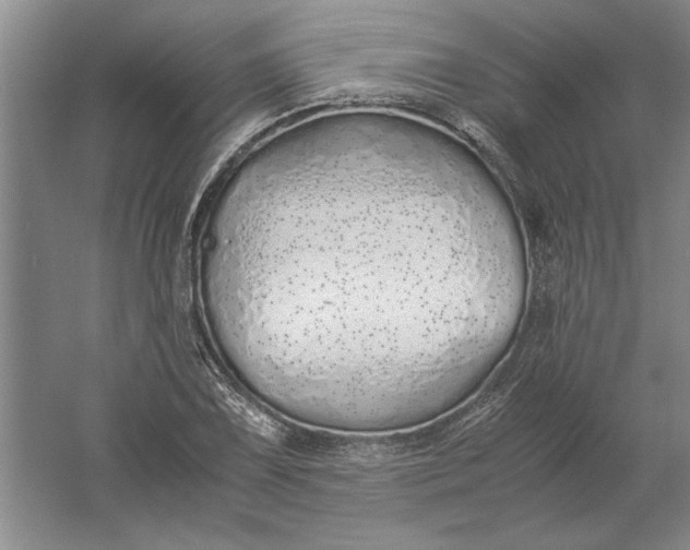 X0000061721075200512161549