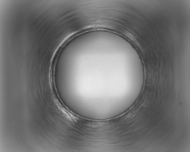 X0000061721076200512161549