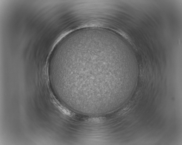 X0000061721078200512161549