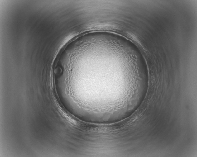 X0000061721079200512161549