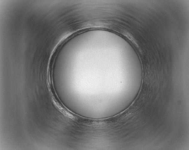 X0000061721080200512161549