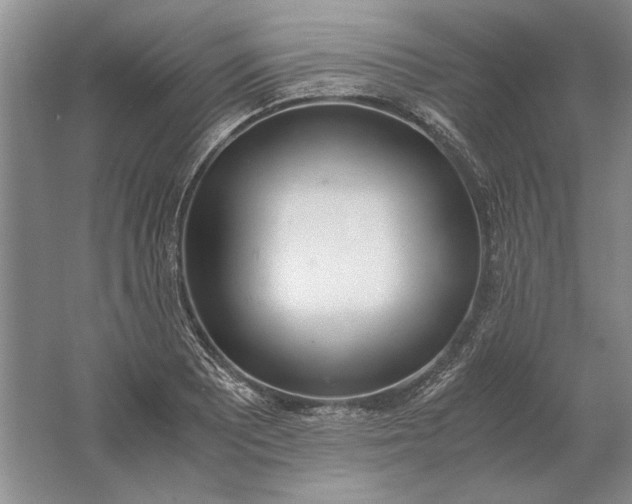 X0000061721081200512161549