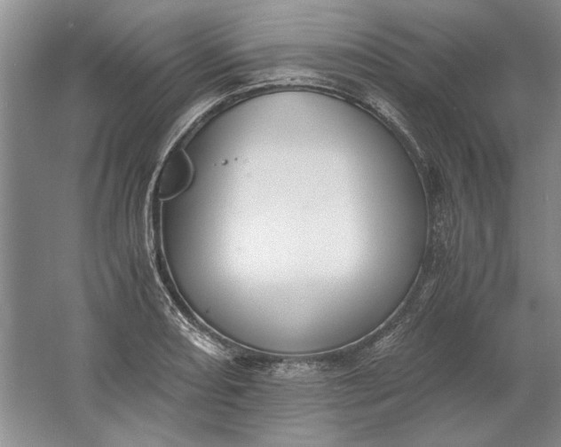 X0000061721082200512161549