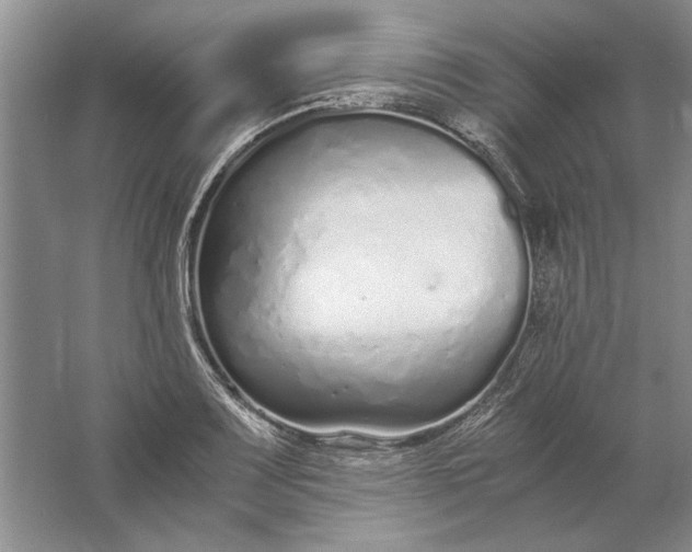 X0000061721083200512161549