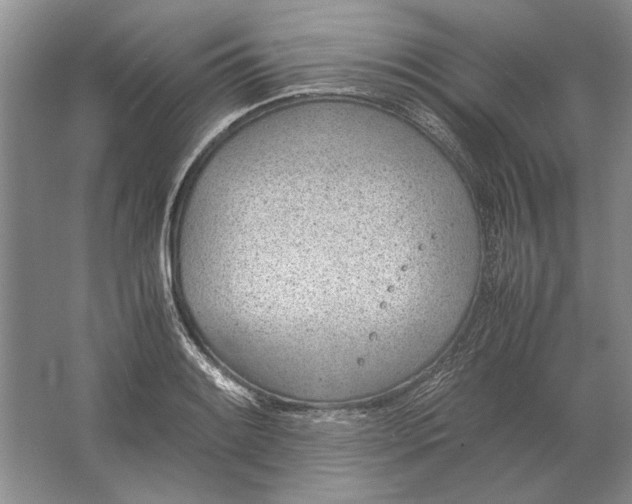 X0000061721084200512161549