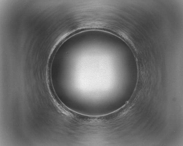 X0000061721085200512161549