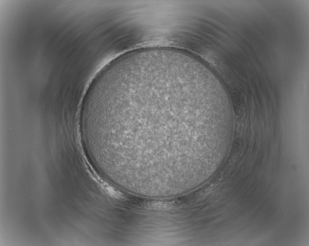 X0000061721086200512161549