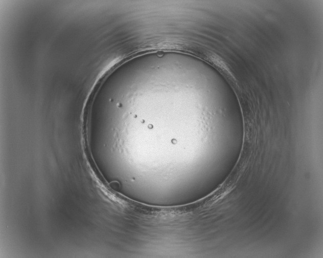 X0000061721087200512161549