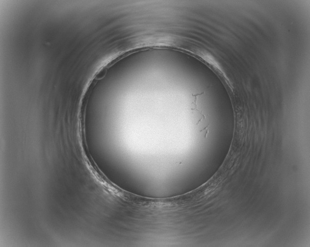 X0000061721088200512161549