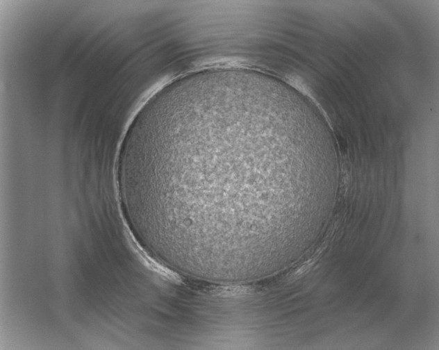 X0000061721090200512161549