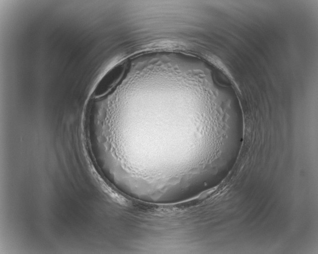 X0000061721091200512161549