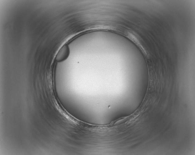 X0000061721092200512161549