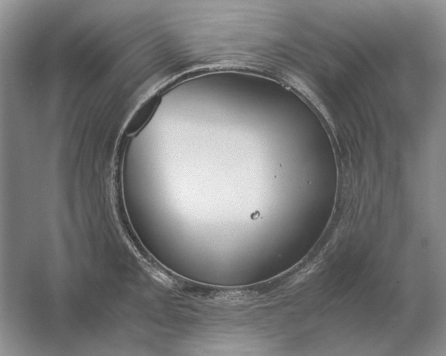 X0000061721093200512161549