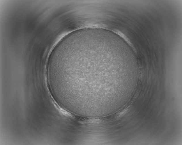 X0000061721094200512161549