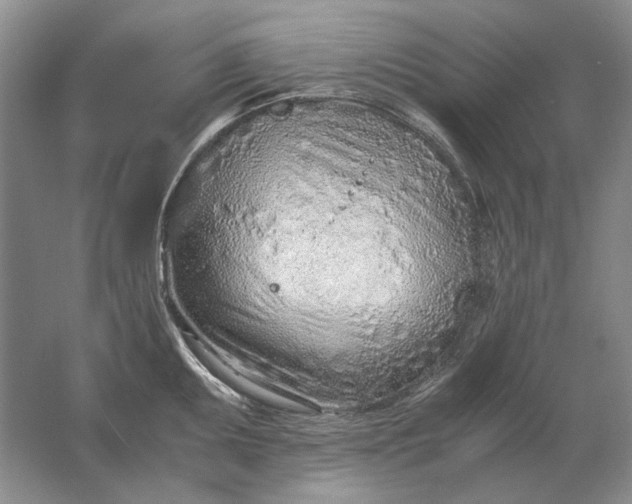 X0000061721095200512161549