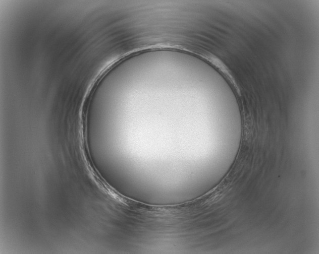 X0000061721096200512161548