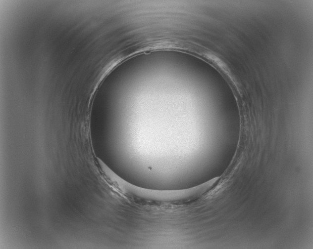 X0000061721097200512161548