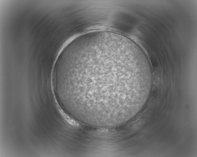 X0000061721098200512161548