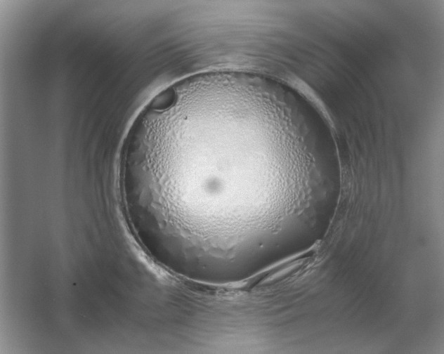 X0000061721099200512161548