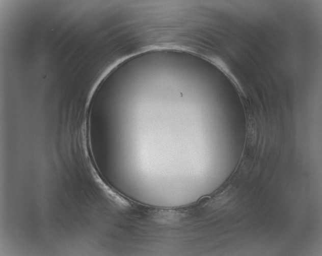 X0000061721100200512161548