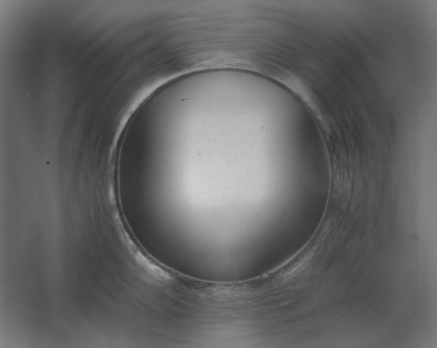 X0000061721102200512161548