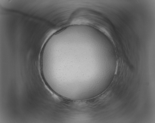 X0000061721103200512161548