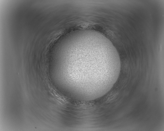 X0000061721105200512161548