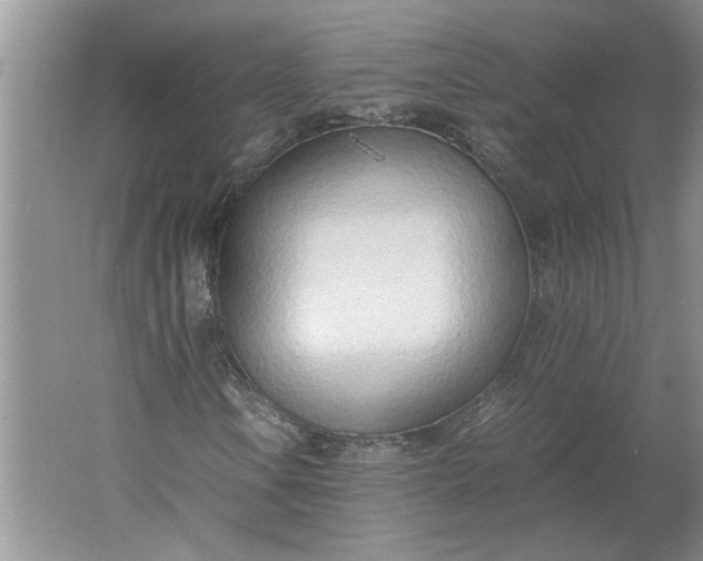 X0000061721106200512161548