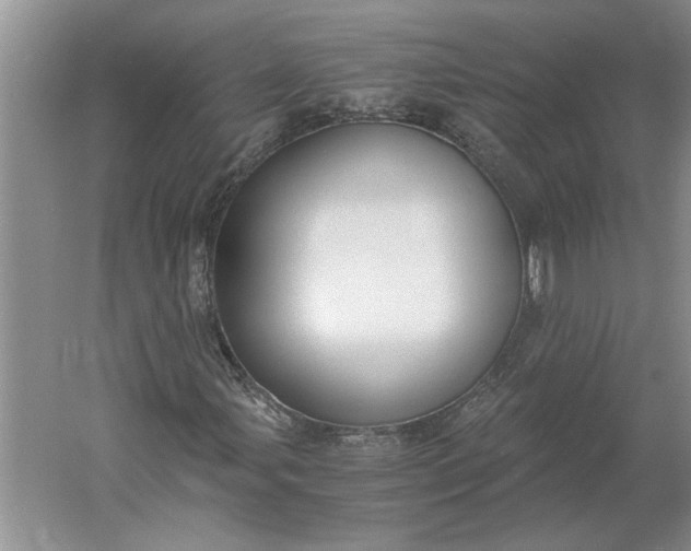 X0000061721107200512161548