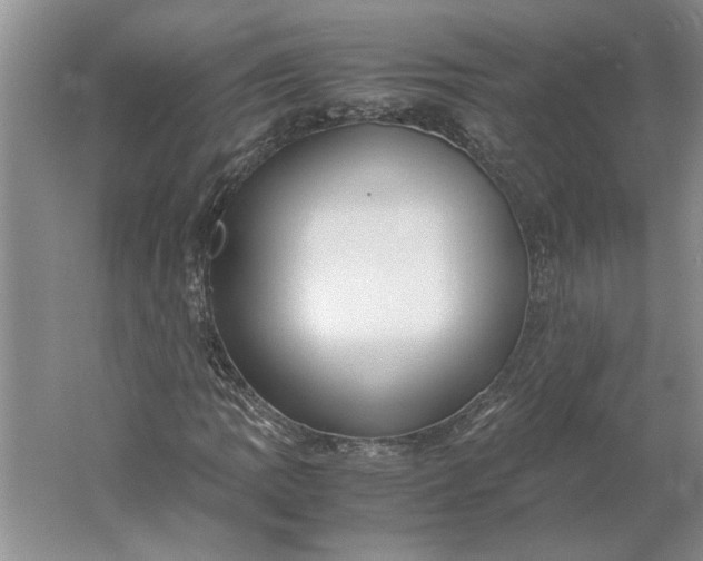 X0000061721109200512161548