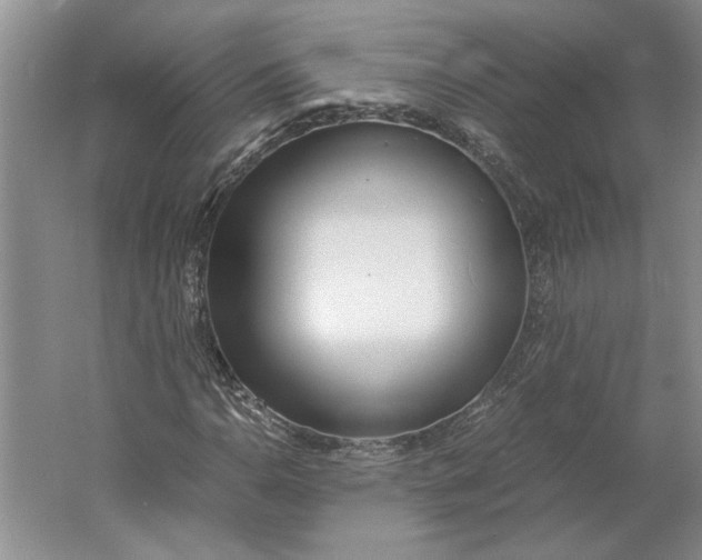 X0000061721110200512161548