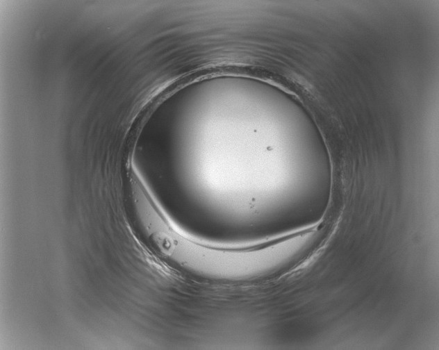 X0000061721113200512161548