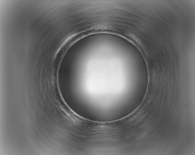 X0000061721115200512161548