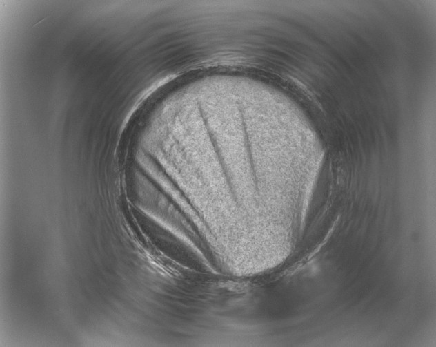 X0000061721117200512161548