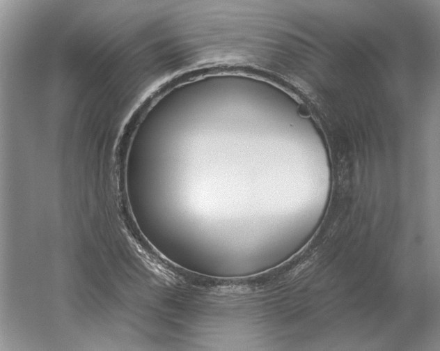 X0000061721118200512161548