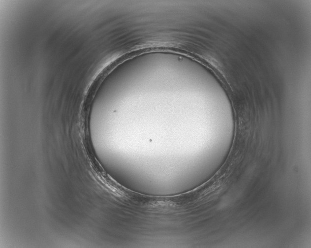 X0000061721119200512161548