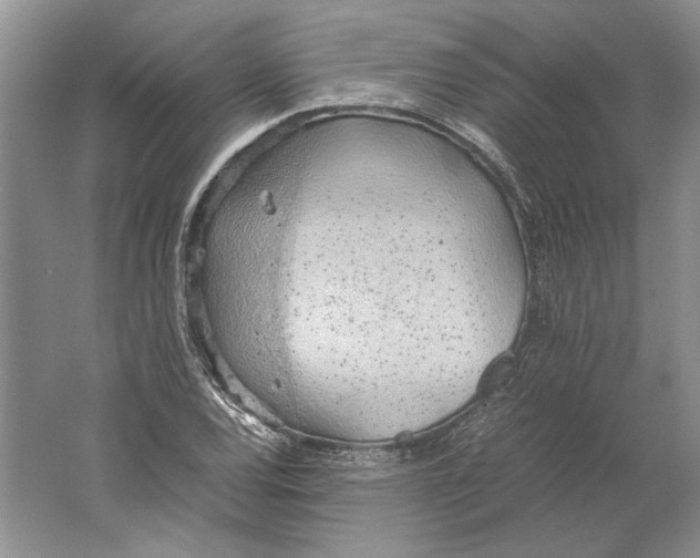 X0000061721120200512161548