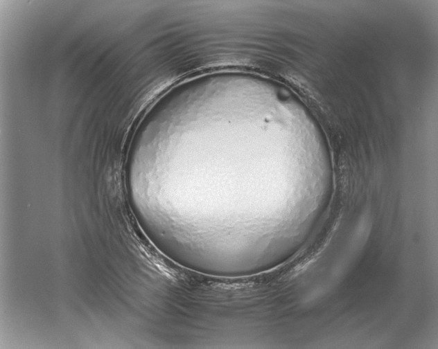 X0000061721121200512161548