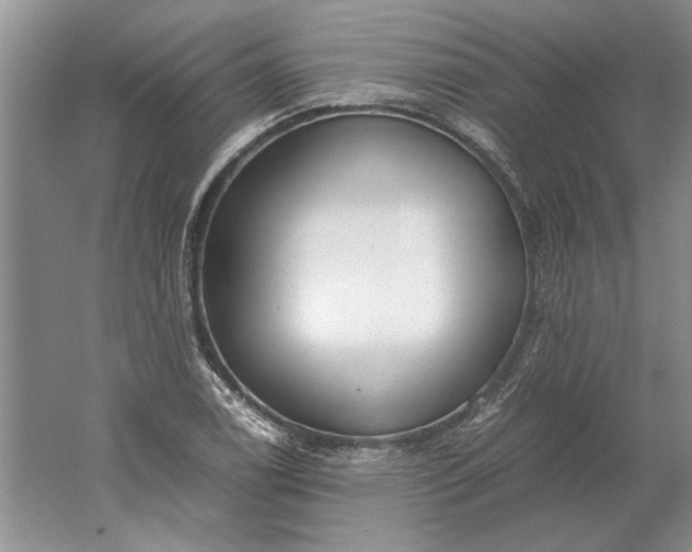 X0000061721122200512161548