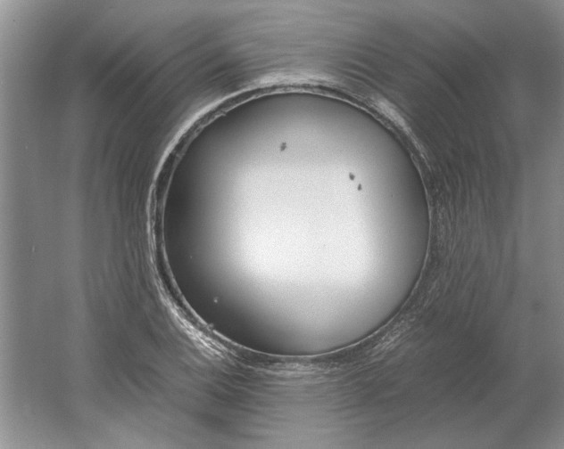 X0000061721124200512161548