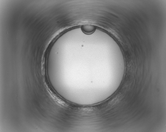 X0000061721126200512161548