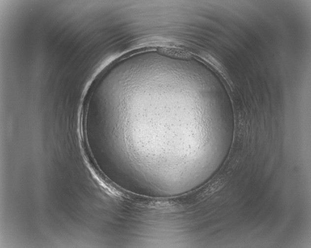 X0000061721128200512161548