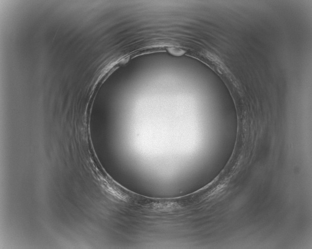 X0000061721129200512161548