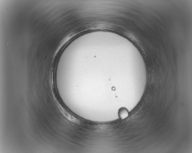 X0000061721130200512161548