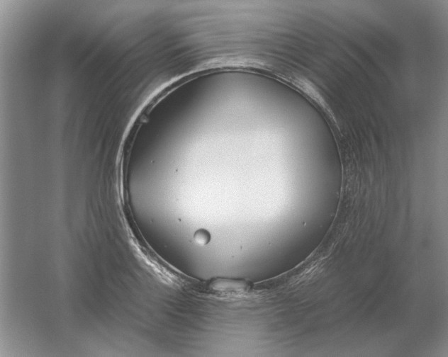 X0000061721132200512161548