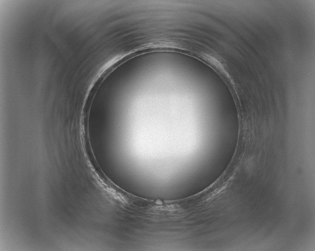 X0000061721133200512161548