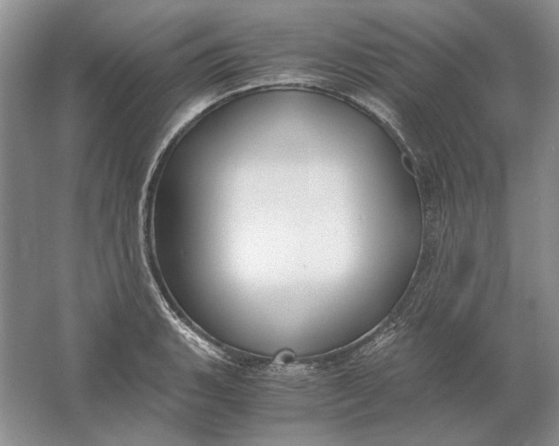 X0000061721135200512161548