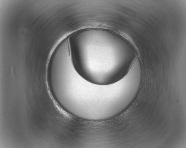 X0000061721136200512161548