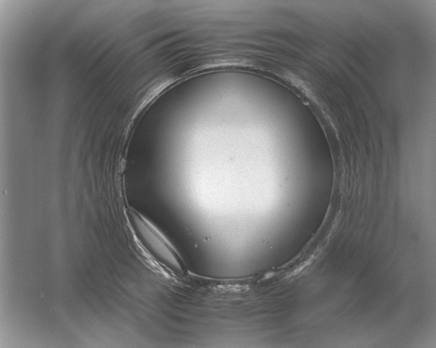 X0000061721137200512161548